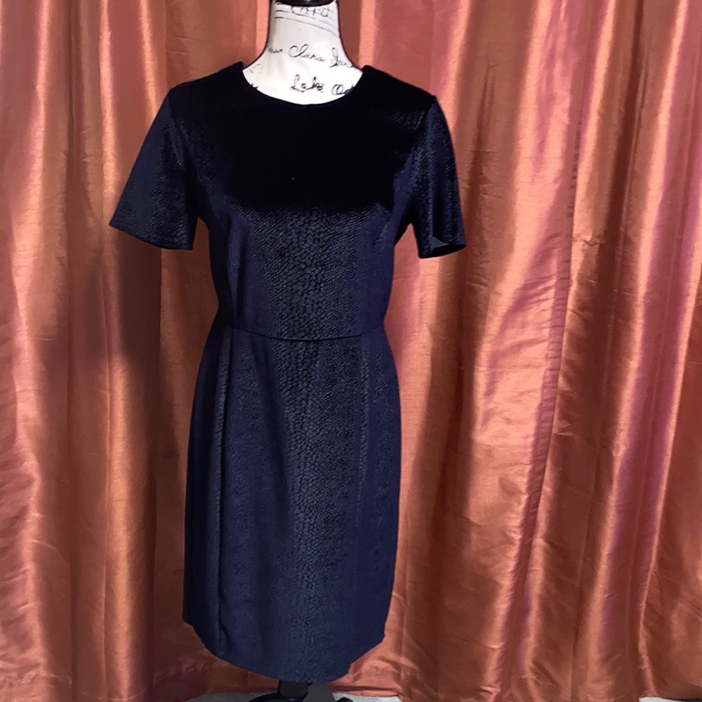 TTahari  Elegant Midnight Blue Textured Dress – Size 12